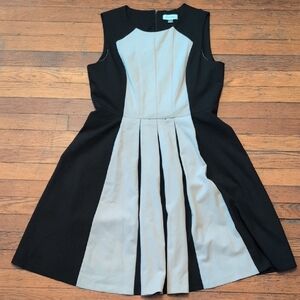 Calvin Klein Black and Taupe Pleated Dress